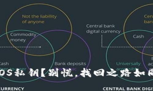 “丢失EOS私钥？别慌，找回之路如同寻宝！”