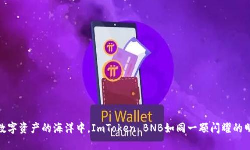 在数字资产的海洋中，ImToken BNB如同一颗闪耀的明珠
