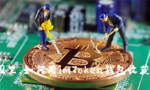 在区块链的花园里，如何用imToken钱包收获比特币的果实？