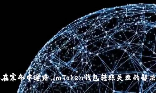 仿佛在寒冬中迷路，imToken钱包转账失败的解决指南