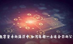 在数字货币的海洋中，如