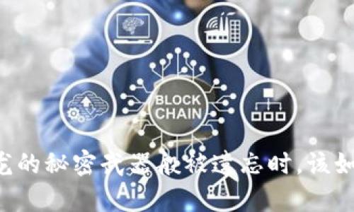 当你的钱包密码如古龙的秘密武器般被遗忘时，该如何解锁你的数字财富？