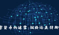 数字货币的迷雾：铺路还
