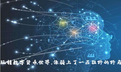 玩转数字货币世界，像骑上了一匹狂野的野马