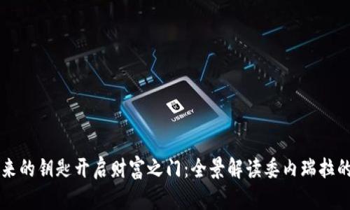 像是用未来的钥匙开启财富之门：全景解读委内瑞拉的数字货币