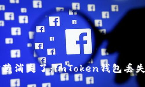 当你的数字宝藏消失了：imToken钱包丢失后的应对指南