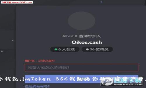 不只是个钱包：imToken BSC钱包为你的加密资产开启新大门