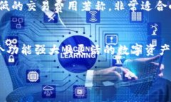 ImToken 钱包的主网络指的是