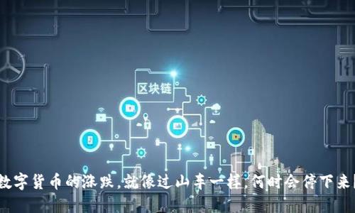 数字货币的涨跌，就像过山车一样，何时会停下来？