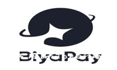 在数字资产的海洋中，如