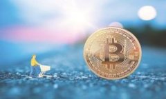 imToken钱包转账后如何查看