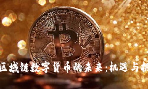 : 区域链数字货币的未来：机遇与挑战