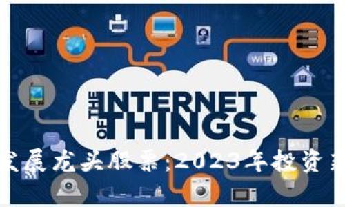 数字货币发展龙头股票：2023年投资新趋势解析