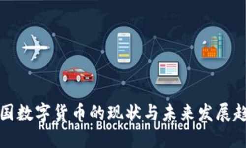 美国数字货币的现状与未来发展趋势