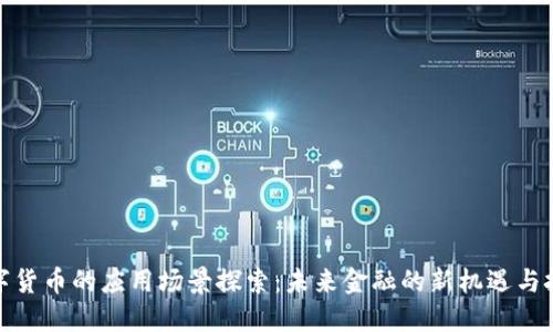 数字货币的应用场景探索：未来金融的新机遇与挑战