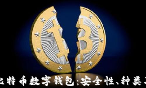 
全面解析比特币数字钱包：安全性、种类及使用指南