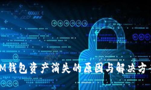 IM钱包资产消失的原因与解决方案