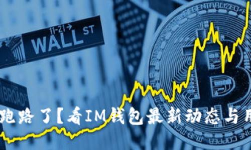 IM钱包跑路了？看IM钱包最新动态与用户指南