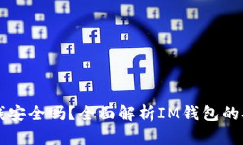 IM钱包转入钱安全吗？全面解析IM钱包的安全性与风险