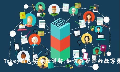 IM Tokey钱包安全性详解：如何保护你的数字资产